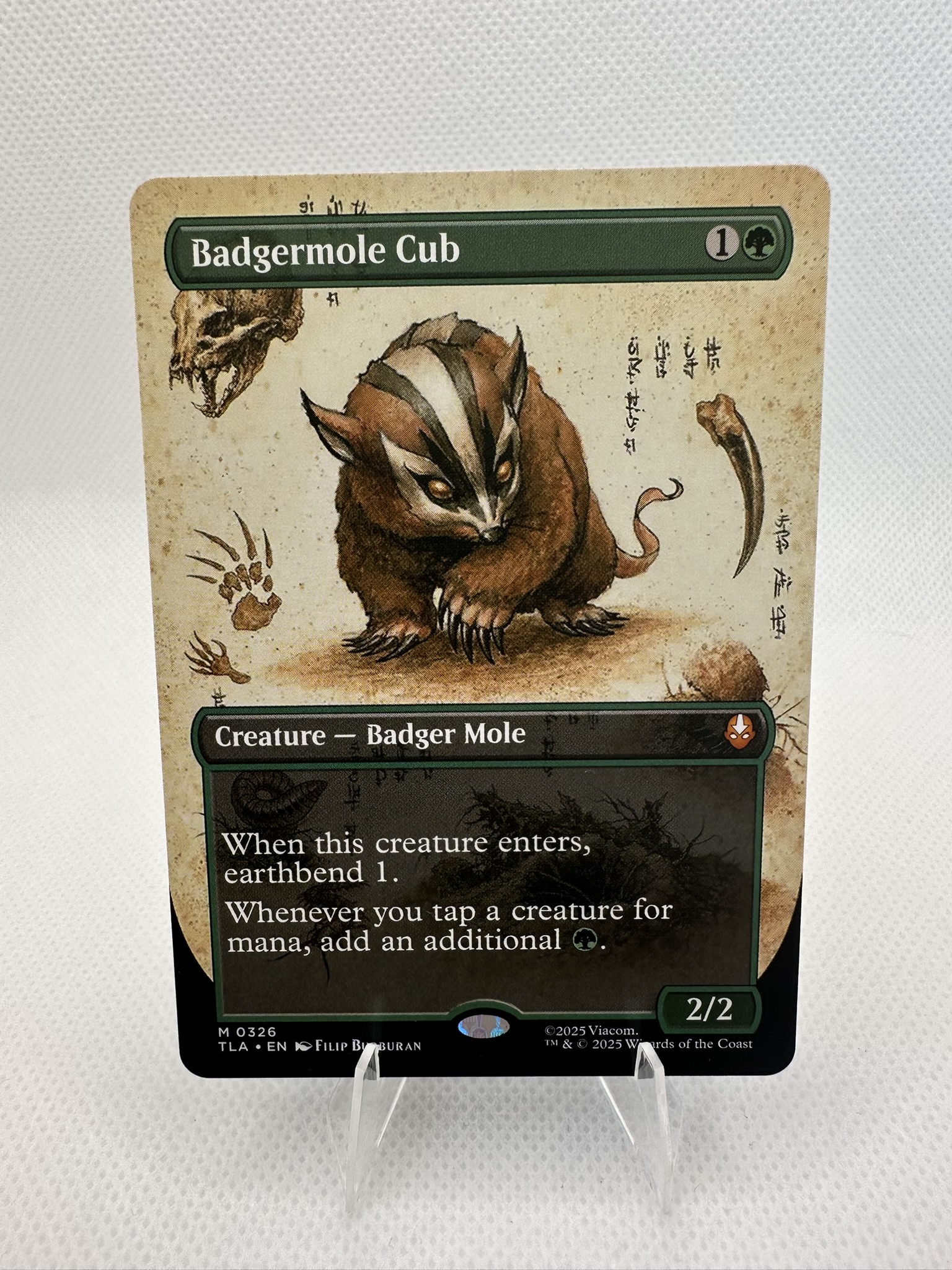 Badgermole Cub (Borderless) TLA 0326